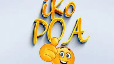 Dj Robby Fighter Ft. MC Shallo - IKO POA