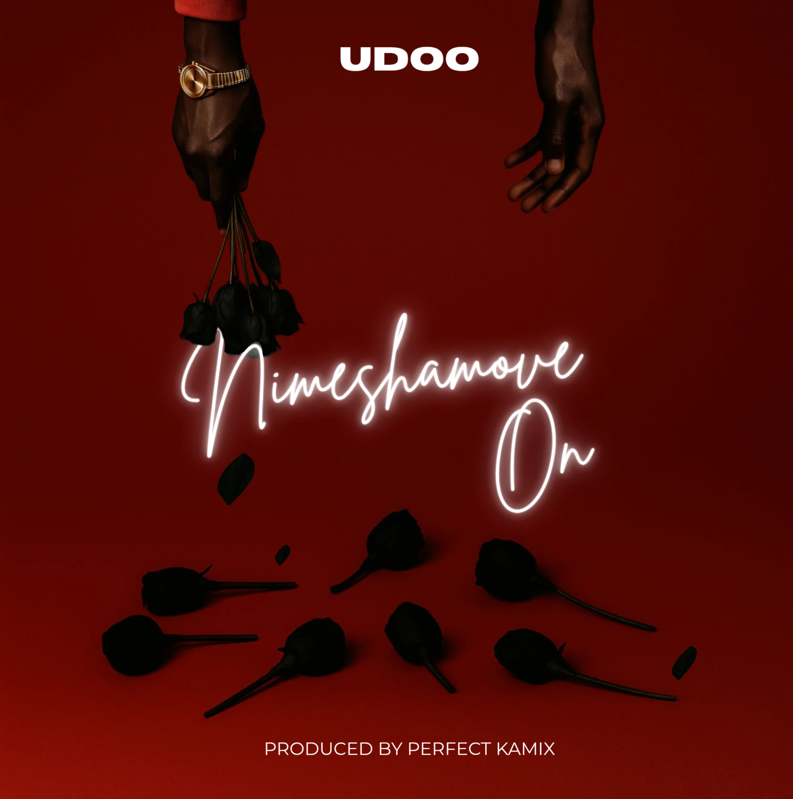 Udoo – Nimeshamove On
