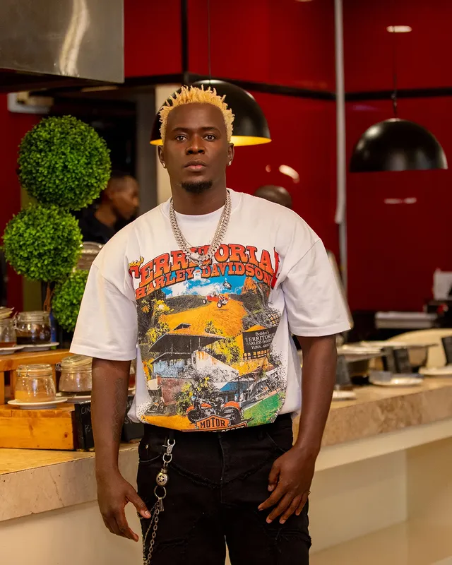 Willy Paul - My Lady