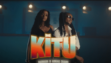 Barnaba Ft Abigail Chams - Kitu