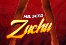 Mr Seed - Zuchu