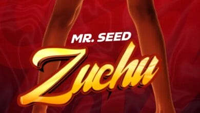 Mr Seed - Zuchu