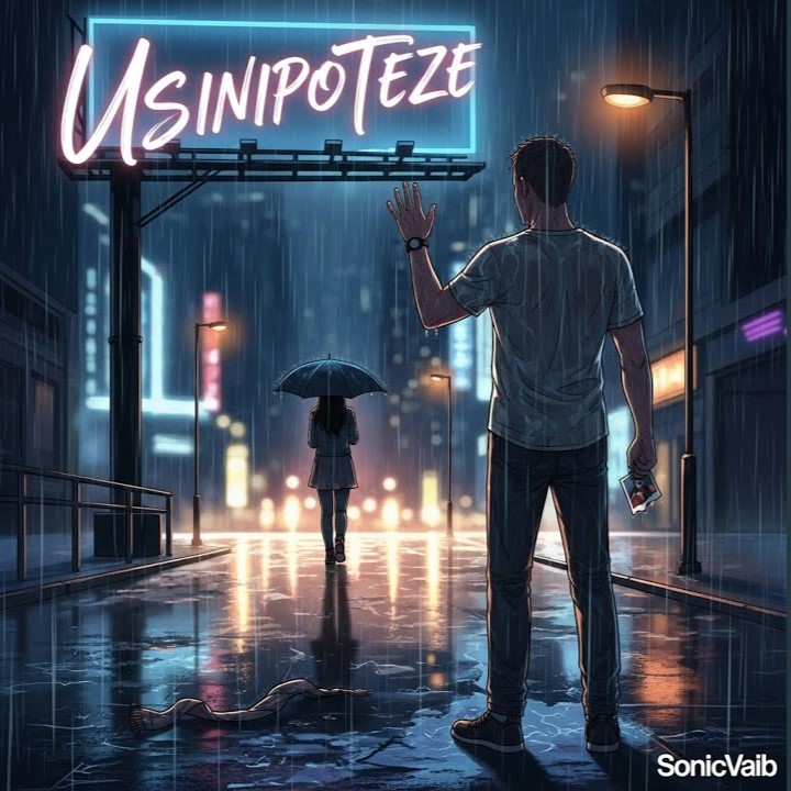Sonic Vaib - Usinipoteze