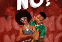 Tiffah Devoice Ft Dogo Elisha – No