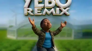 Dj Robby Fighter - YEBO REMIX