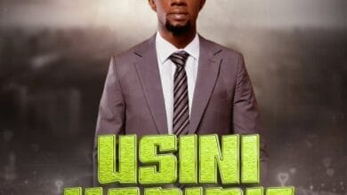 Godfrey Steven - Usiniharibie