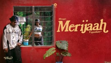 Mbosso - Merijaah (Official Visualizer)