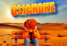 Stizo – USICHOKE
