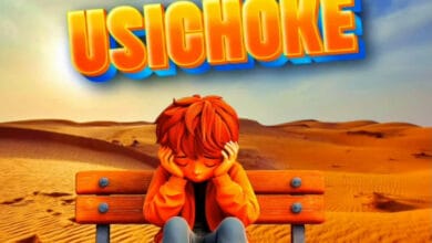 Stizo – USICHOKE