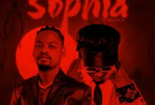 Ben Pol Ft DJ Mushizo – Sophia (Remix)