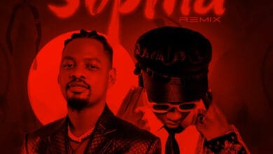 Ben Pol Ft DJ Mushizo – Sophia (Remix)