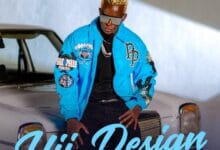 Willy Paul - Hii Design