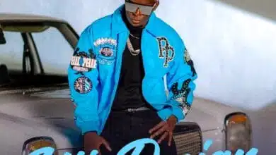 Willy Paul - Hii Design