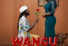 Damian Soul - Wangu