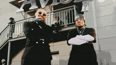 Mbosso Ft. Masterpiece YVK - Aviola Remix