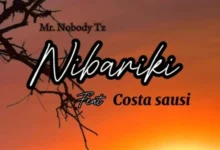 Mr. Nobody Tz ft Costa Sausi - Nibariki