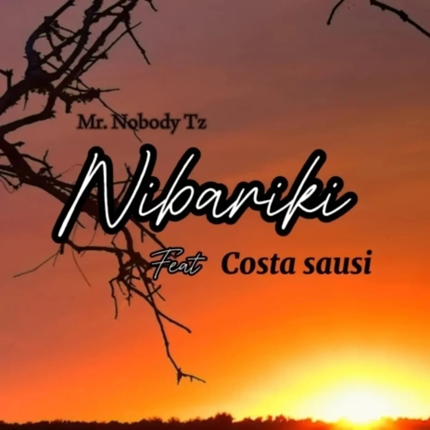 Mr. Nobody Tz ft Costa Sausi - Nibariki