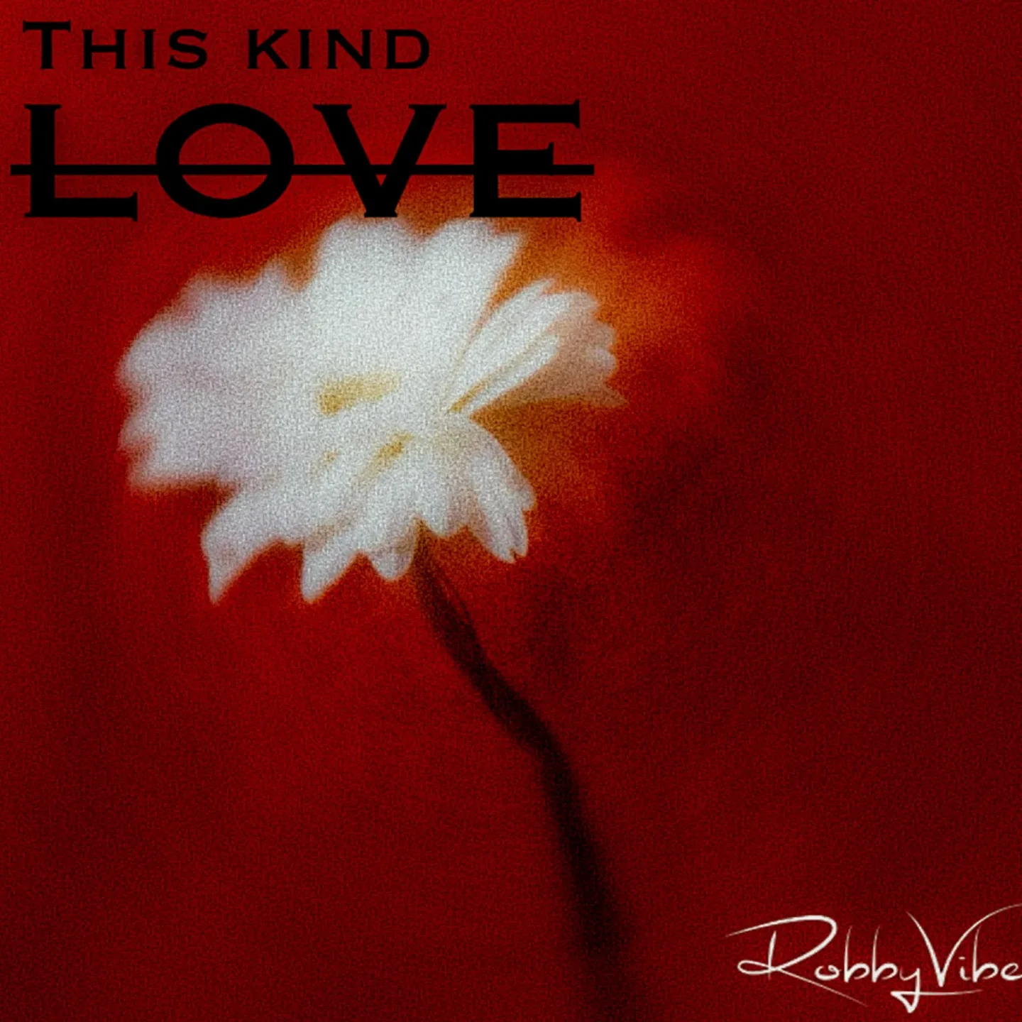 Robby Vibe - This Kind Love