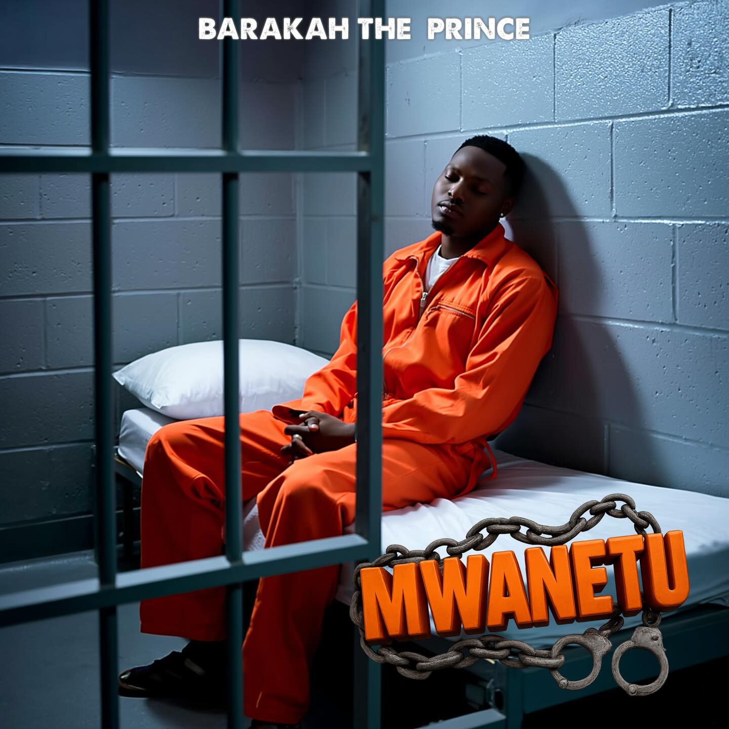 Baraka The Prince - Mwanetu