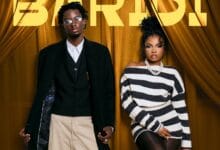 D Voice Ft Zuchu - Baridi