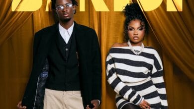 D Voice Ft Zuchu - Baridi