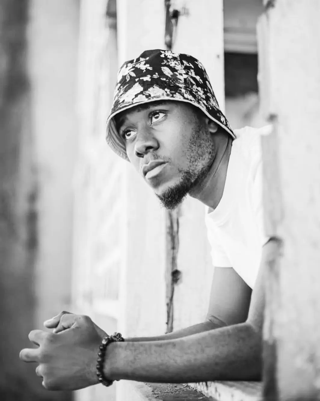 Dizasta Vina - Theluji