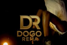 Dogo Rema - Hapo Vp