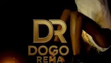 Dogo Rema - Hapo Vp