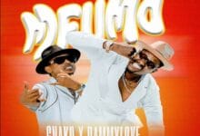 G Nako ft. Dammy Love - Mfumo