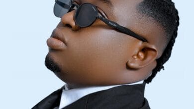 Kidene Fighter - Snich