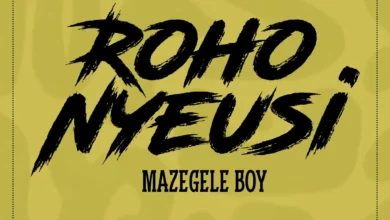 Mazegele Boy - Roho Nyeusi