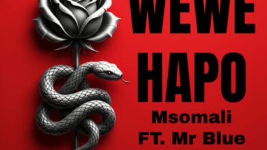 Msomali ft. Mr Blue - Wewe Hapo