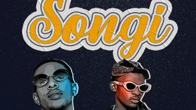 ShamahOvs Ft Landon ice - Songi