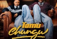 Vanillah ft Alikiba - Tamu Chungu