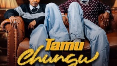 Vanillah ft Alikiba - Tamu Chungu