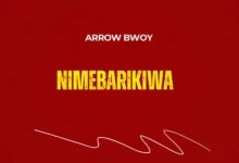 Arrow Bwoy - Nimebarikiwa