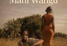 Dree Suka - Mahi Wangu