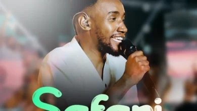 Paul Clement - Safari