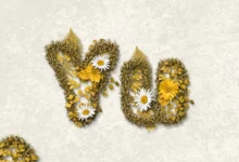 Sanja Kong Ft Udede - Yu