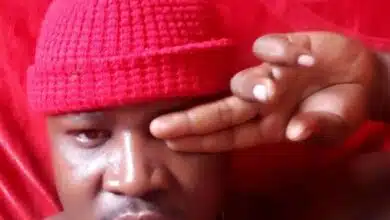 Gajominaju - Pokopoko