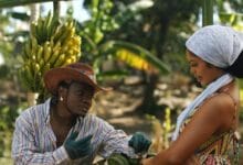 Harmonize & Mbosso - Leo (Official Music Video)