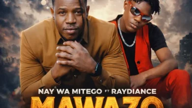 Nay Wa Mitego Ft Raydiance - Mawazo