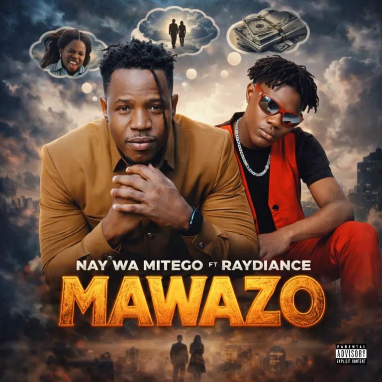 Nay Wa Mitego Ft Raydiance - Mawazo