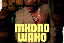 Willy Paul - Mkono Wako