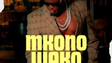 Willy Paul - Mkono Wako