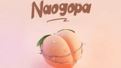 Medy Melody - Naogopa