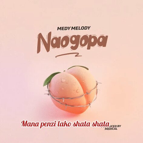 Medy Melody - Naogopa