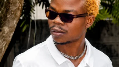Harmorapa - Karibu bongo