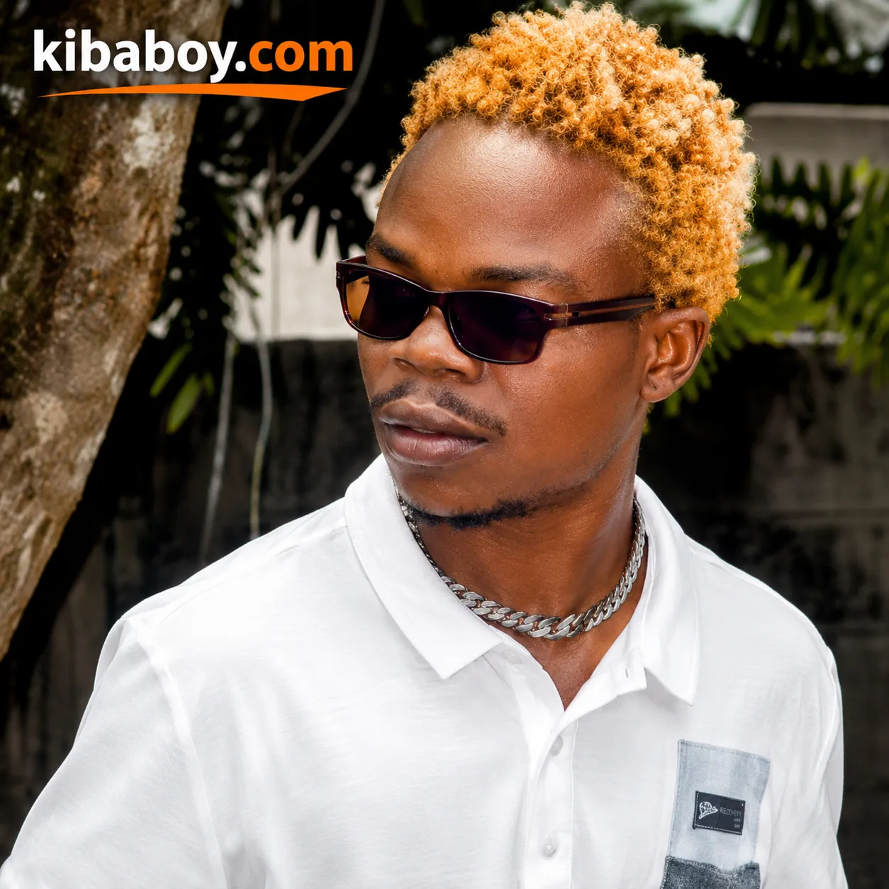 Harmorapa - Karibu bongo