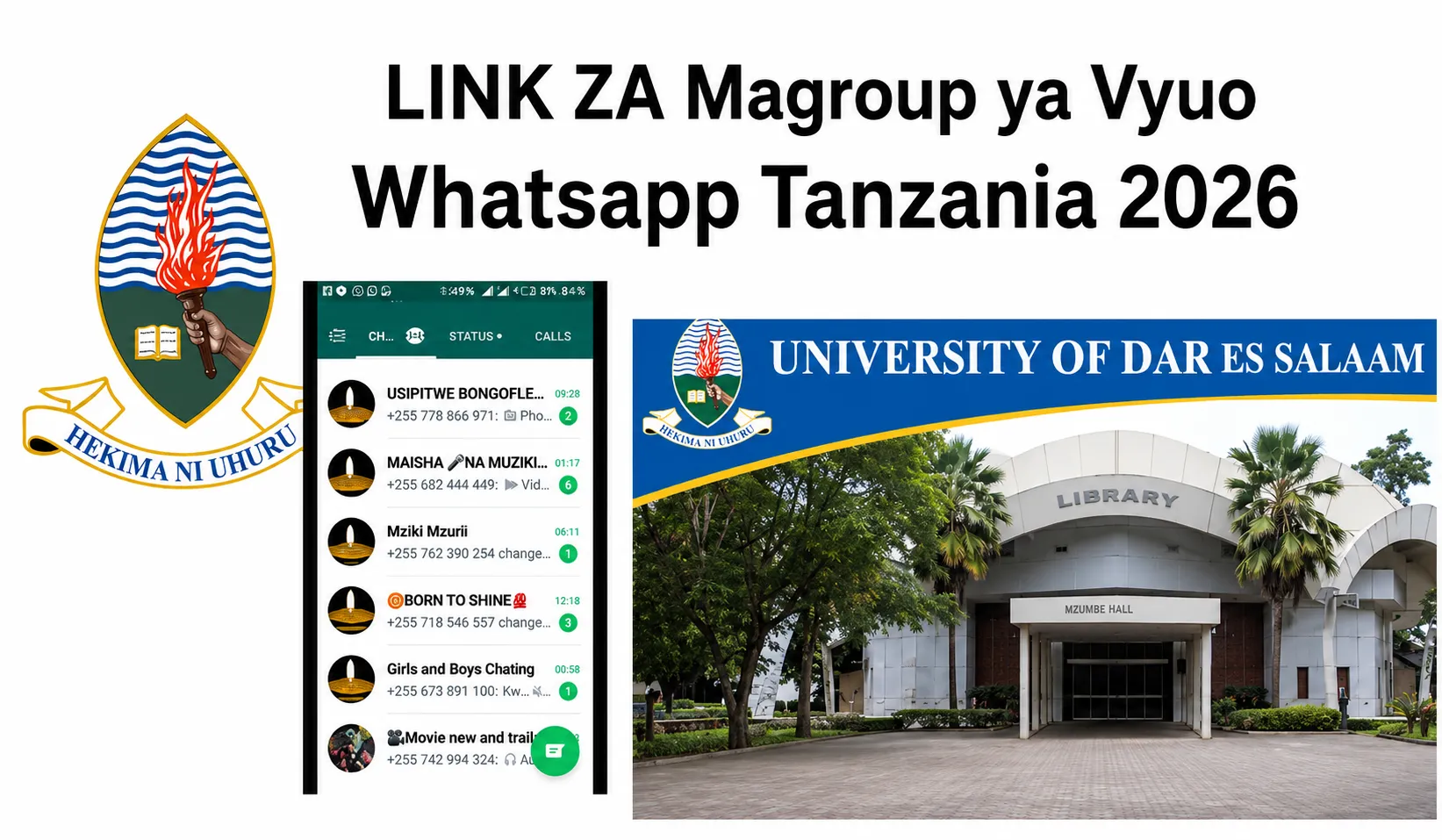 Link za Magroup ya Vyuo WhatsApp Tanzania 2026 Jiunge Hapa